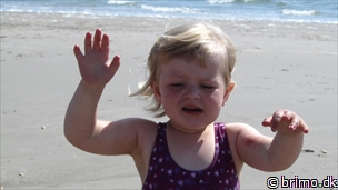 Miniature af billede nummer 2689