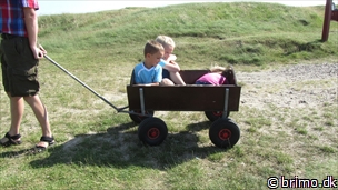 Miniature af billede nummer 2691