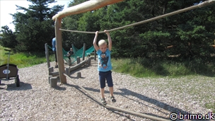 Miniature af billede nummer 2692