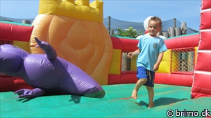 Miniature af billede nummer 2696