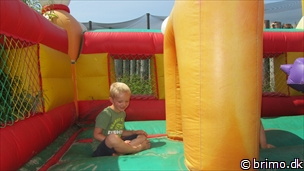 Miniature af billede nummer 2697