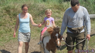 Miniature af billede nummer 2698