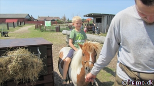 Miniature af billede nummer 2699