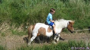 Miniature af billede nummer 2700