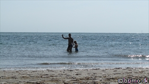 Miniature af billede nummer 2701