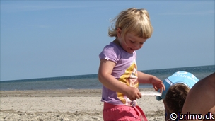 Miniature af billede nummer 2705