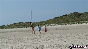 Miniature af billede nummer 2707