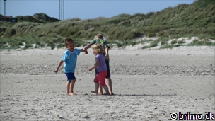 Miniature af billede nummer 2709