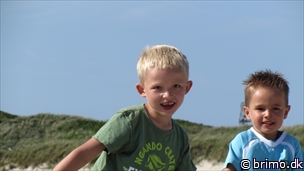 Miniature af billede nummer 2710