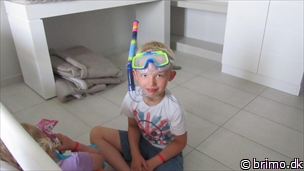 Miniature af billede nummer 2712