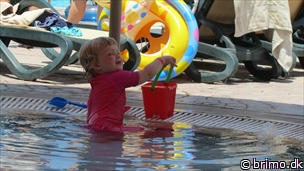 Miniature af billede nummer 2715