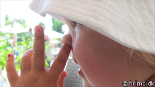 Miniature af billede nummer 2721