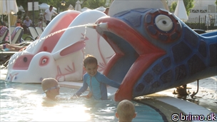 Miniature af billede nummer 2726