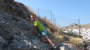 Miniature af billede nummer 2728