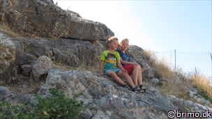 Miniature af billede nummer 2730