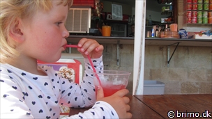 Miniature af billede nummer 2731