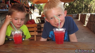 Miniature af billede nummer 2733