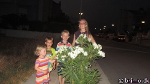 Miniature af billede nummer 2739