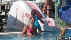 Miniature af billede nummer 2746