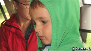 Miniature af billede nummer 2780