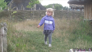 Miniature af billede nummer 2781