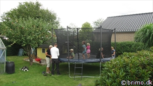 Miniature af billede nummer 2784