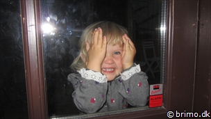 Miniature af billede nummer 2798