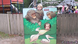 Miniature af billede nummer 2801