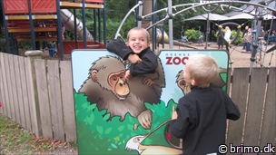 Miniature af billede nummer 2802