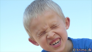 Miniature af billede nummer 2804