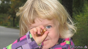 Miniature af billede nummer 2807