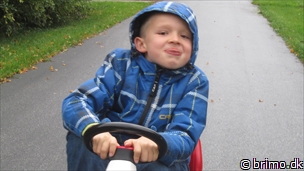 Miniature af billede nummer 2809