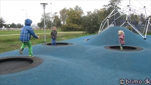 Miniature af billede nummer 2810