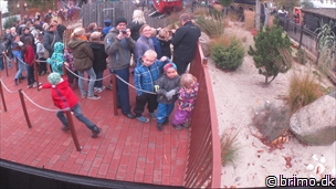 Miniature af billede nummer 2818