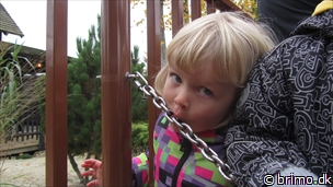 Miniature af billede nummer 2819