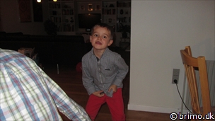 Miniature af billede nummer 2822