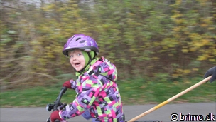 Miniature af billede nummer 2824