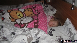 Miniature af billede nummer 2825