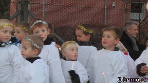 Miniature af billede nummer 2832