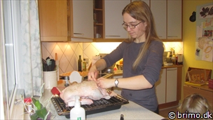 Miniature af billede nummer 2838