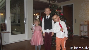 Miniature af billede nummer 2839