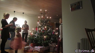 Miniature af billede nummer 2848