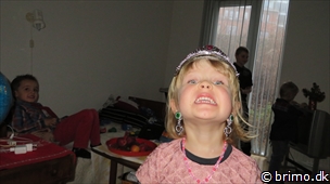 Miniature af billede nummer 2859