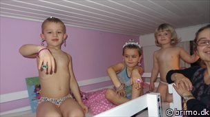 Miniature af billede nummer 2862