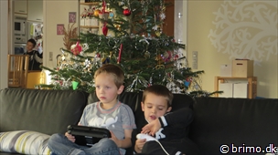 Miniature af billede nummer 2873