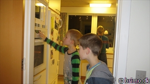 Miniature af billede nummer 2882