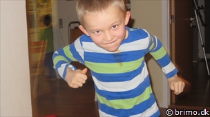 Miniature af billede nummer 2886