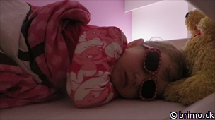 Miniature af billede nummer 2887