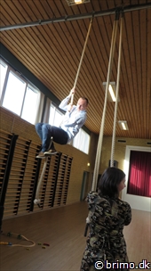 Miniature af billede nummer 2890