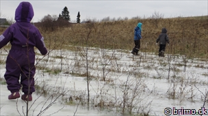 Miniature af billede nummer 2894